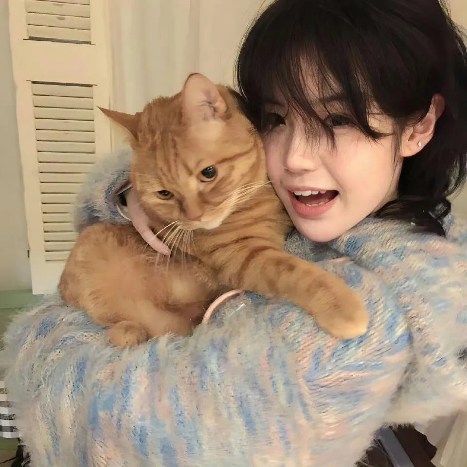 阿丰尼亚